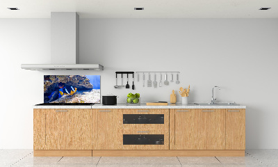 Cooker splashback Tropical fish