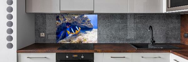 Cooker splashback Tropical fish