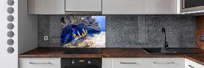 Cooker splashback Tropical fish