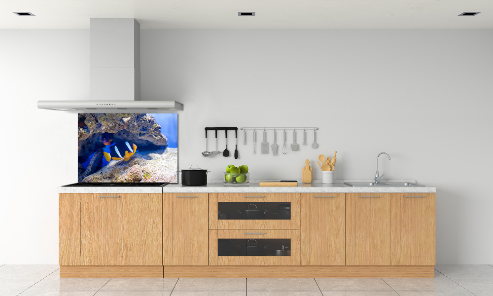 Cooker splashback Tropical fish