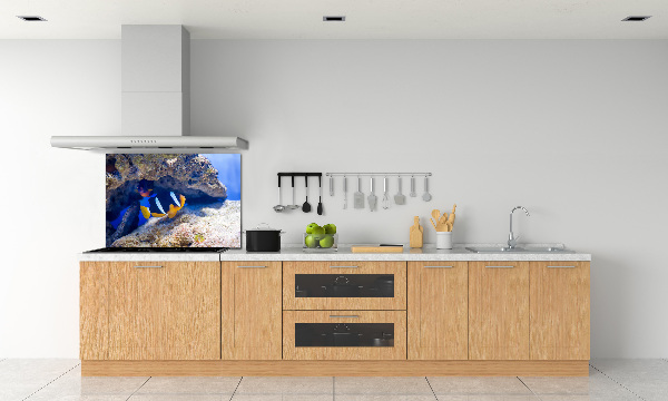 Cooker splashback Tropical fish