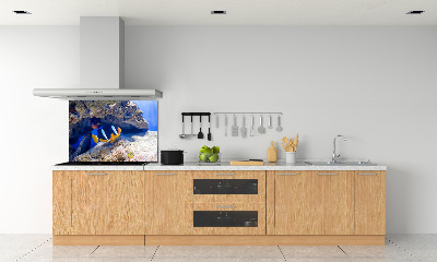 Cooker splashback Tropical fish