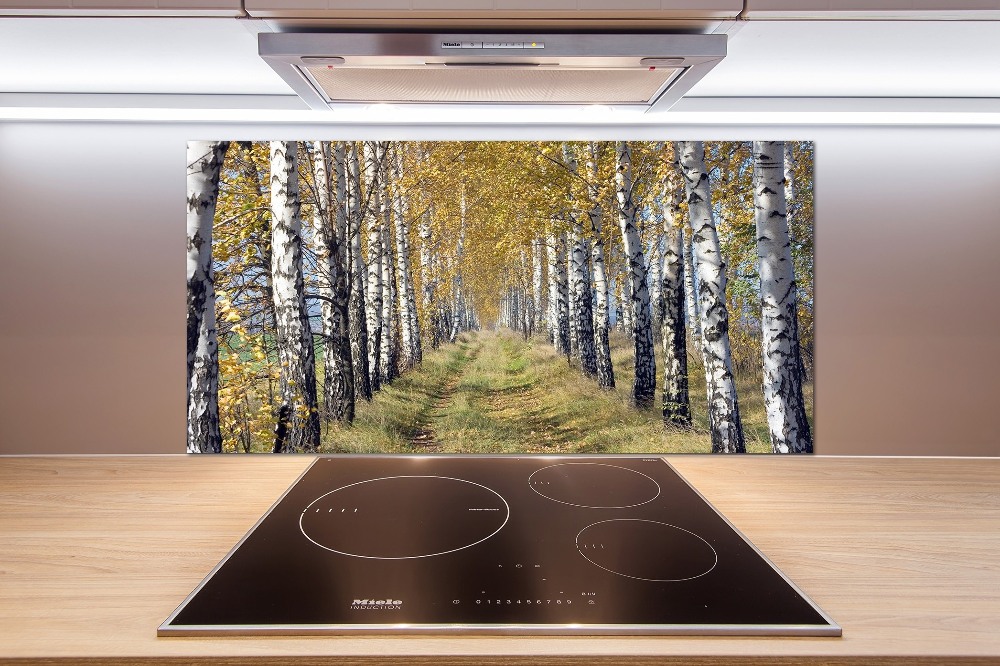 Glass splashback Birches in autumn