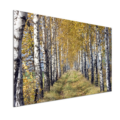 Glass splashback Birches in autumn