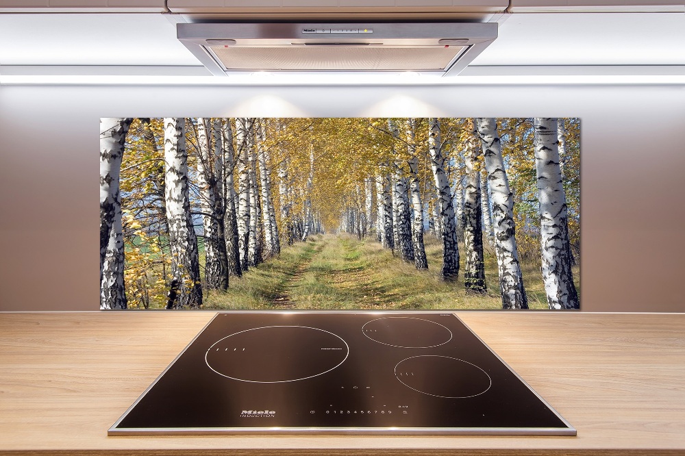 Glass splashback Birches in autumn