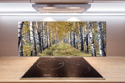 Glass splashback Birches in autumn