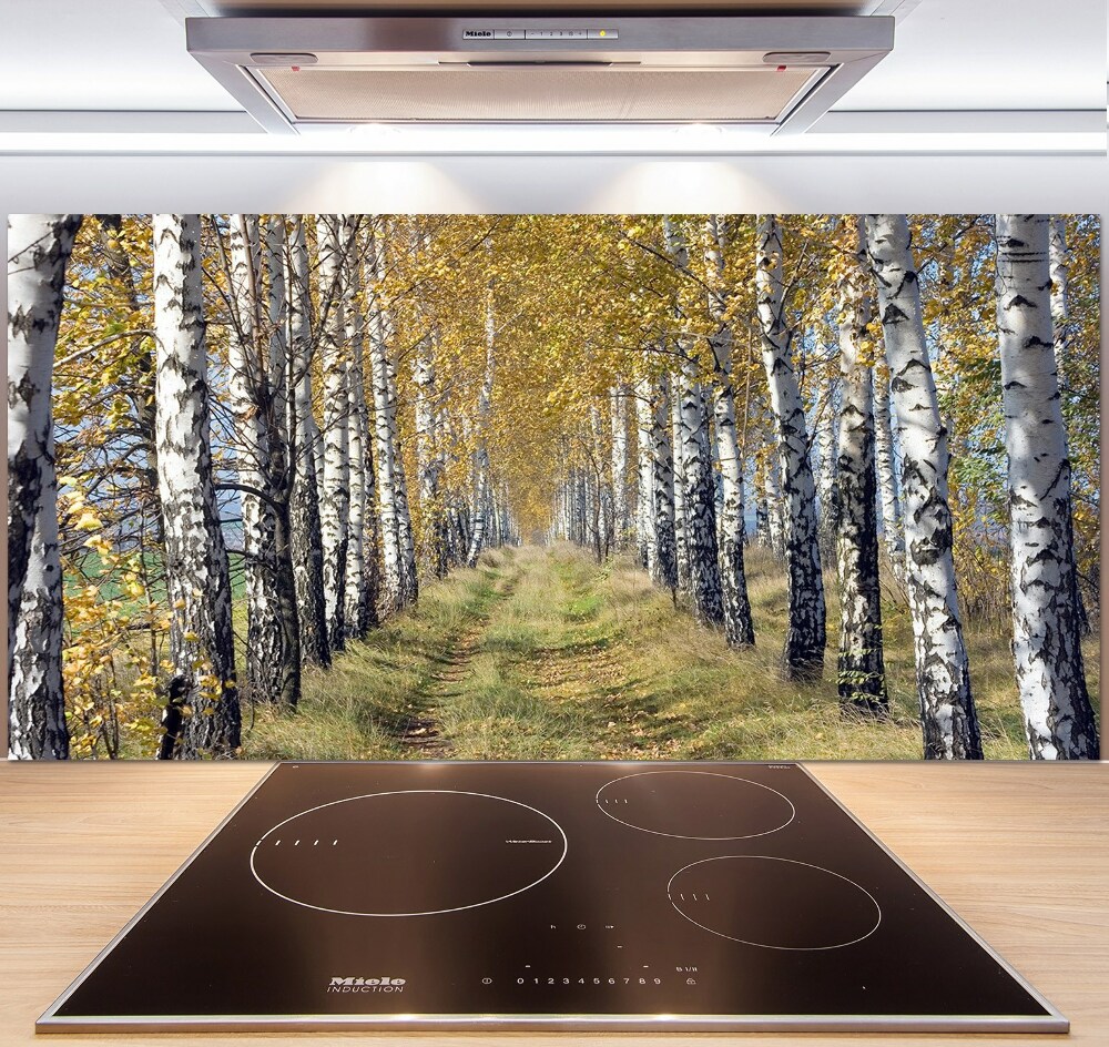 Glass splashback Birches in autumn