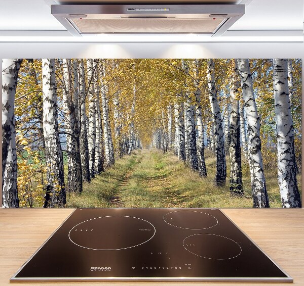 Glass splashback Birches in autumn