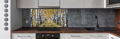 Glass splashback Birches in autumn