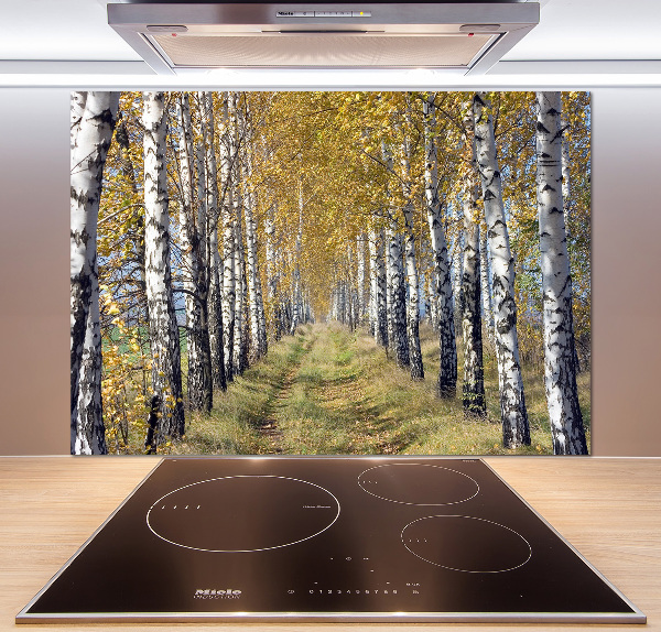 Glass splashback Birches in autumn