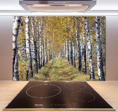 Glass splashback Birches in autumn