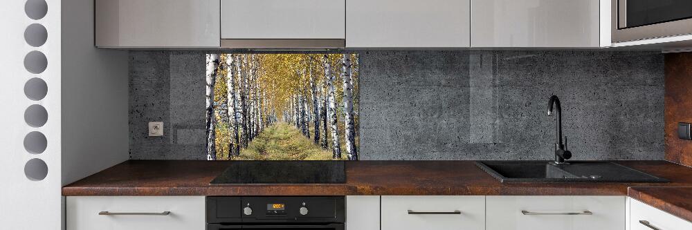 Glass splashback Birches in autumn