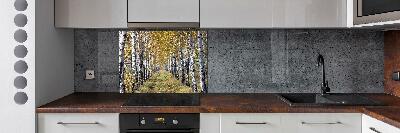 Glass splashback Birches in autumn