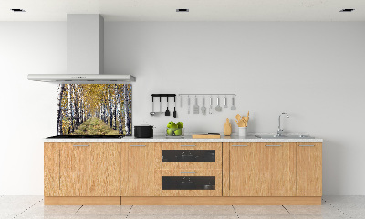 Glass splashback Birches in autumn