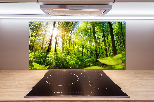 Kitchen splashback Forest in the sun