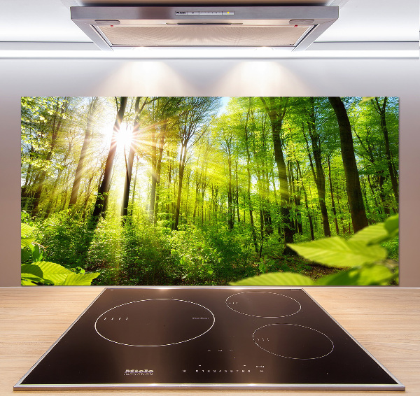 Kitchen splashback Forest in the sun