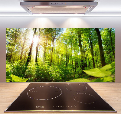 Kitchen splashback Forest in the sun