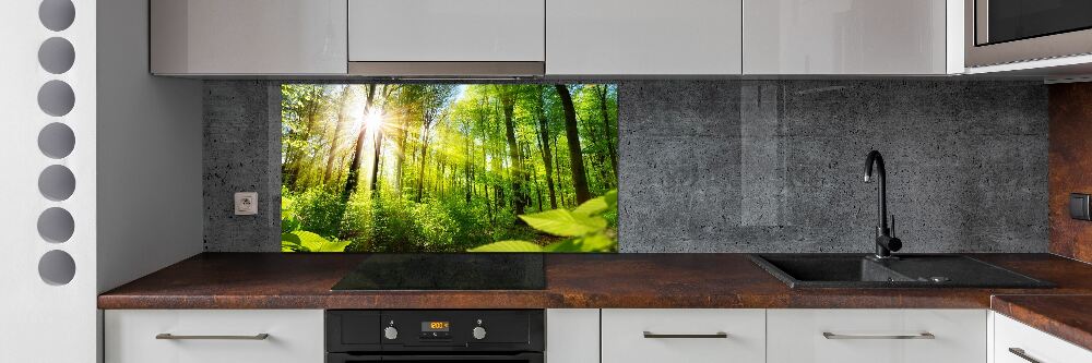 Kitchen splashback Forest in the sun