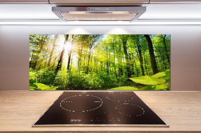 Kitchen splashback Forest in the sun