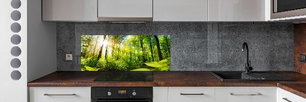 Kitchen splashback Forest in the sun