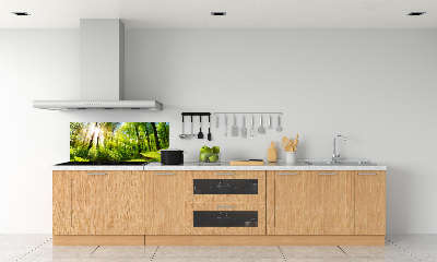 Kitchen splashback Forest in the sun