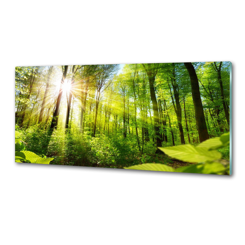 Kitchen splashback Forest in the sun