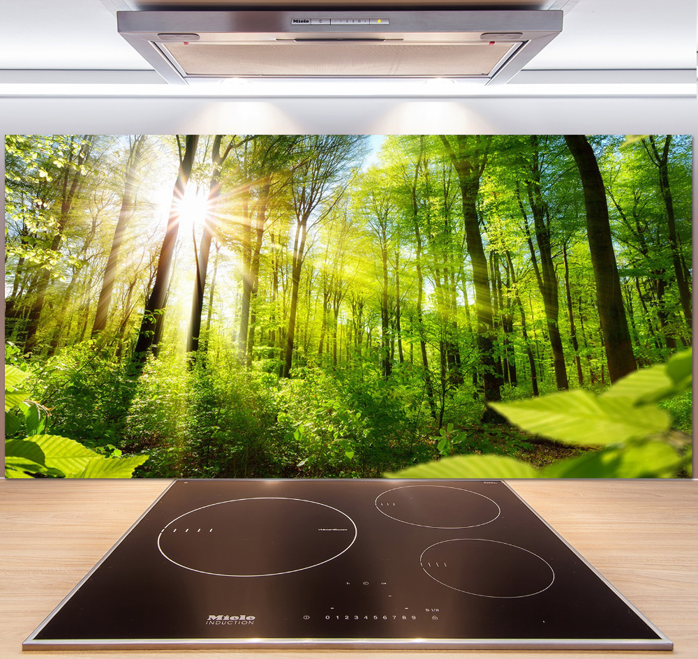 Kitchen splashback Forest in the sun