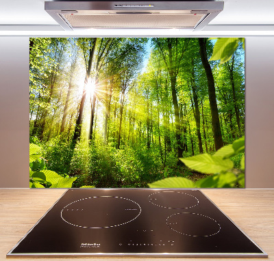 Kitchen splashback Forest in the sun