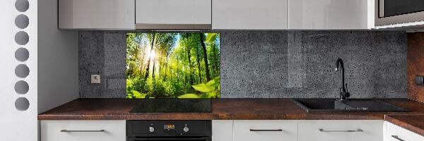 Kitchen splashback Forest in the sun