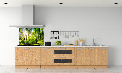 Kitchen splashback Forest in the sun