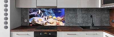 Cooker splashback Coral reef