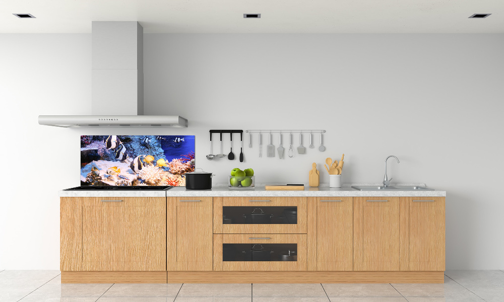 Cooker splashback Coral reef