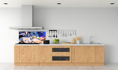 Cooker splashback Coral reef