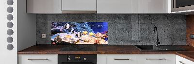 Cooker splashback Coral reef