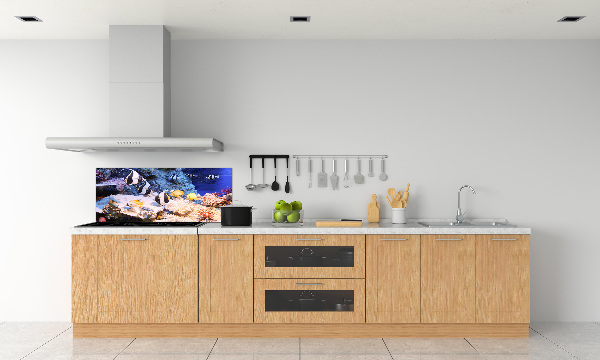 Cooker splashback Coral reef