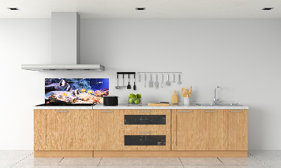 Cooker splashback Coral reef