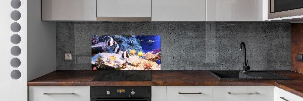 Cooker splashback Coral reef