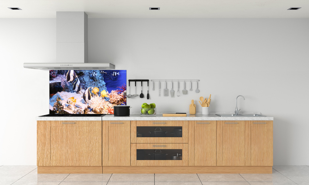 Cooker splashback Coral reef