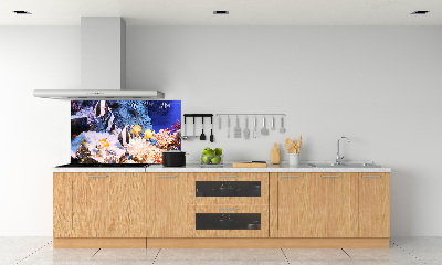 Cooker splashback Coral reef