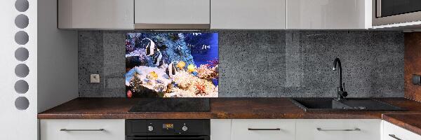 Cooker splashback Coral reef