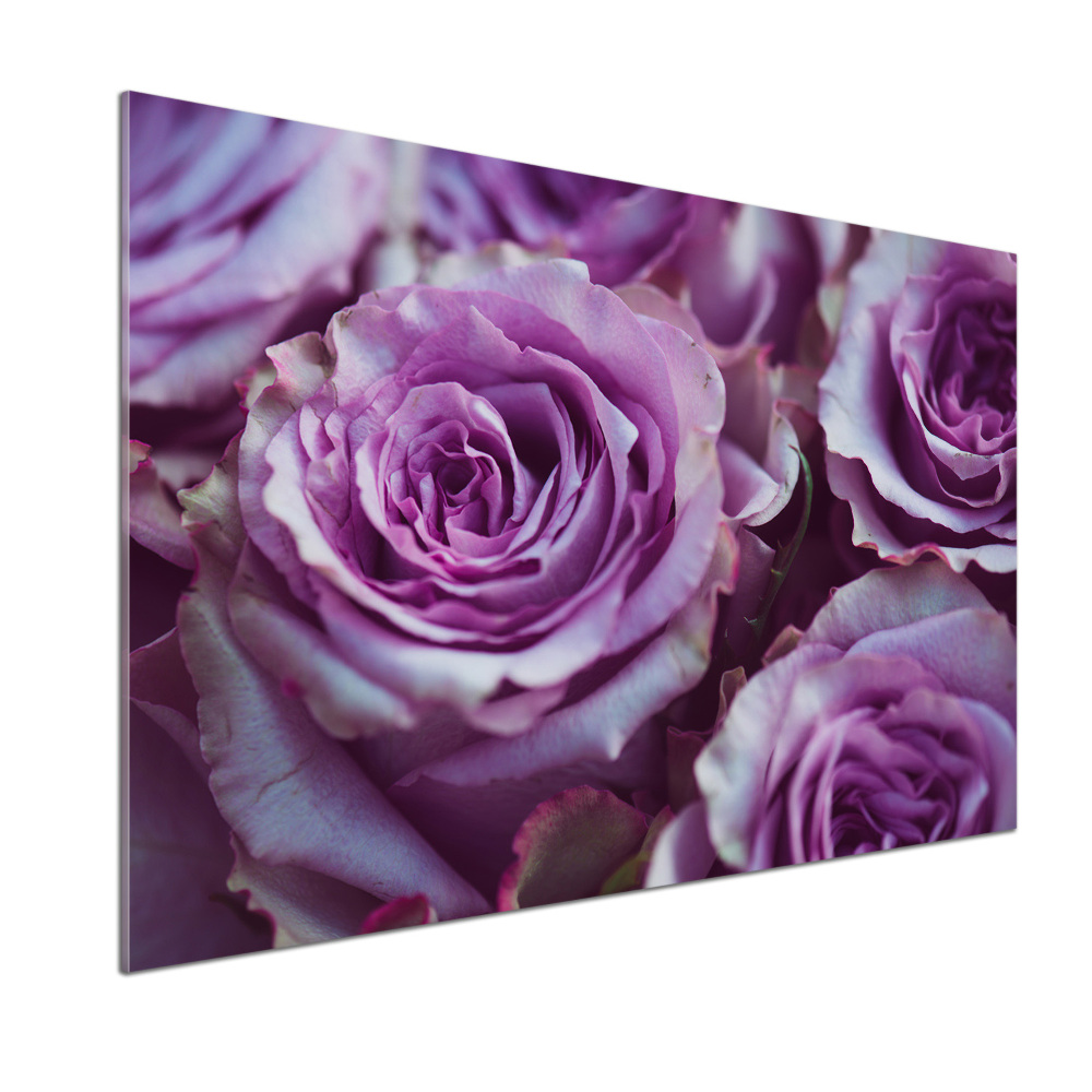 Kitchen wall panels Purple roses