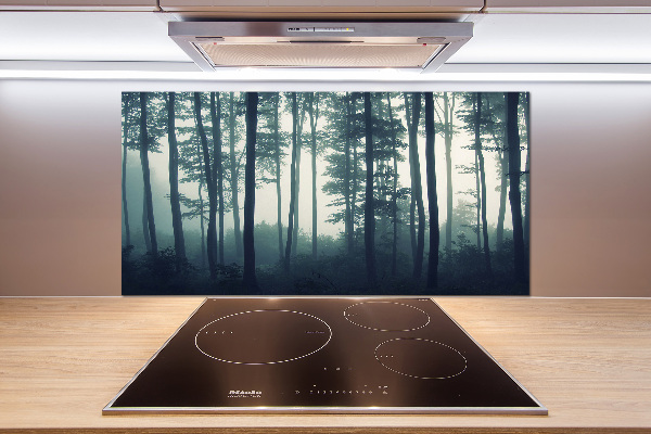 Kitchen splashback Forest in the fog