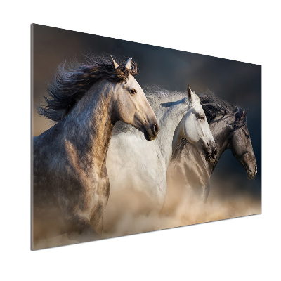 Kitchen splashback Horses at gallop