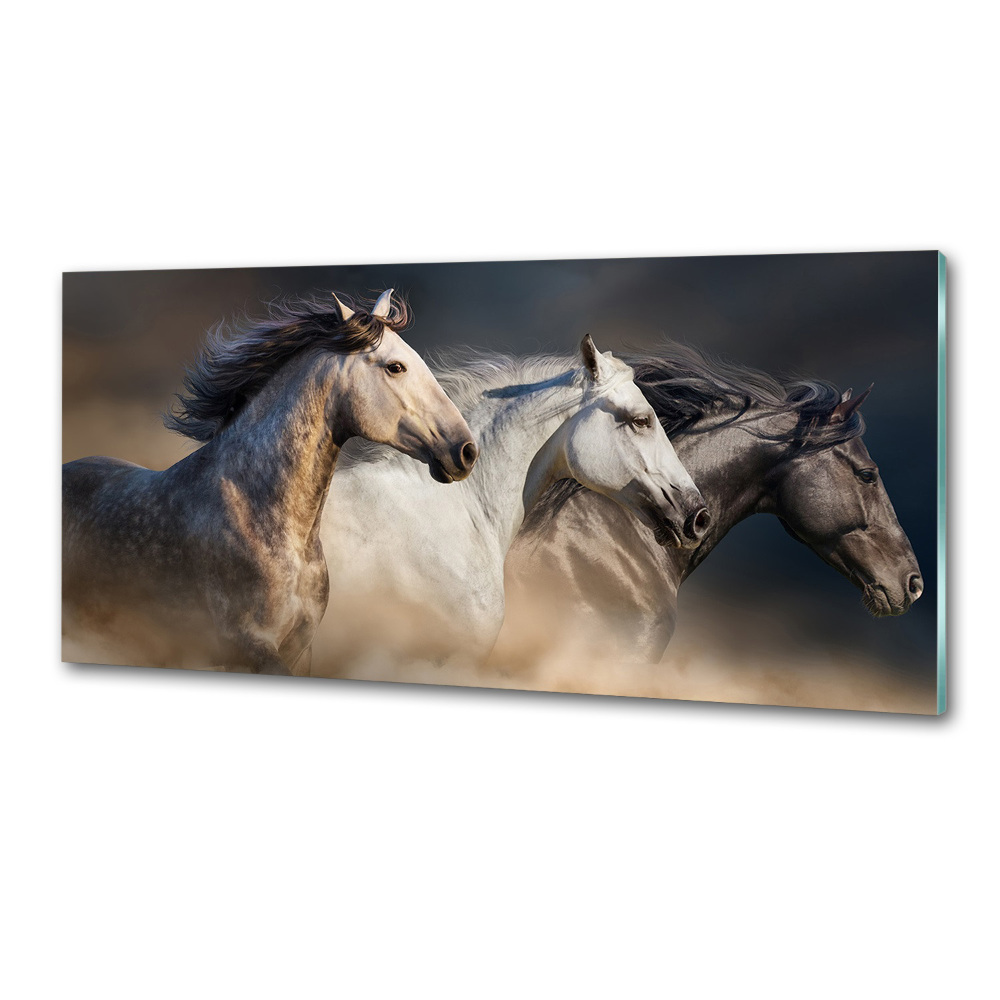 Kitchen splashback Horses at gallop