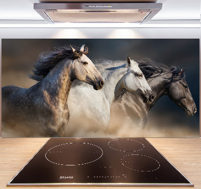 Kitchen splashback Horses at gallop