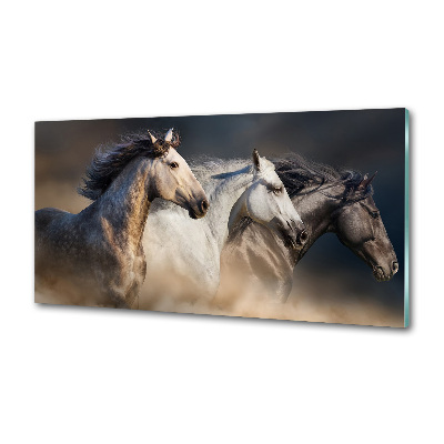 Kitchen splashback Horses at gallop