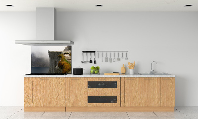 Kitchen splashback Norwegian cliff