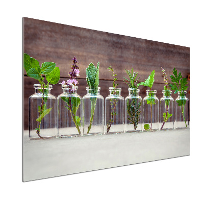 Hob splashback Plants in jars