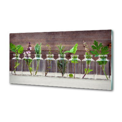 Hob splashback Plants in jars