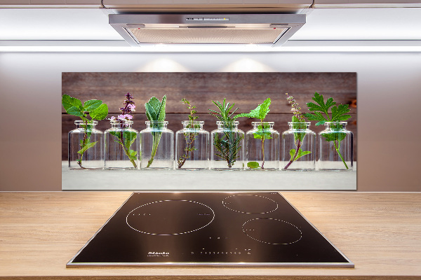 Hob splashback Plants in jars